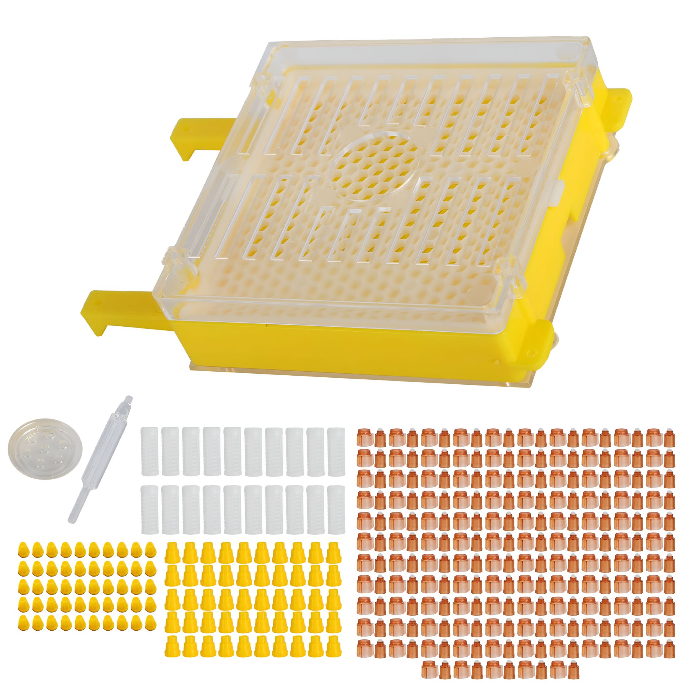 Apiculture Box ZULAR Apiculture System Kit Queen Bee Rearing System Box Beekeeping Box ...