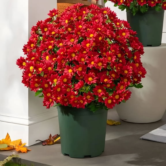 ZULAR Artificial Mums for Outdoors,5/10/15/25 Bundles Artificial Sunset Chrysanthemum Flowers,No Fade Fall Faux Flower - Uv Resistant,Waterproof,Windproof