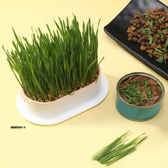 ZULAR Hydroponic Cat Grass Growing Kit - Indoor Self-Watering Planter with Wheatgrass & Catnip Seeds,Soilless Pet Grass Planter Box for Cats/Dogs,Anti-Digging Nursery Tray,Home Dcor Garden Set