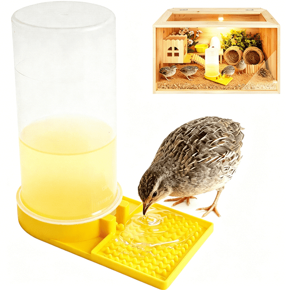 ZULAR Large Capacity Quail Water Feeder,Quail Supplies for Quail Cage,Multi-Use As Quail Feeder,Quail Waterer,Chick Waterer,Baby Chick Waterer,Ideal Quail Feeders for Baby Bird