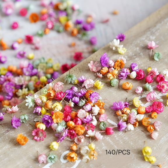 ZULAR Real Dried Flowers,Dried Flowers for Crafts,Dry Flowers,Diy Craft Epoxy Resin Candle Making Jewelry Glass