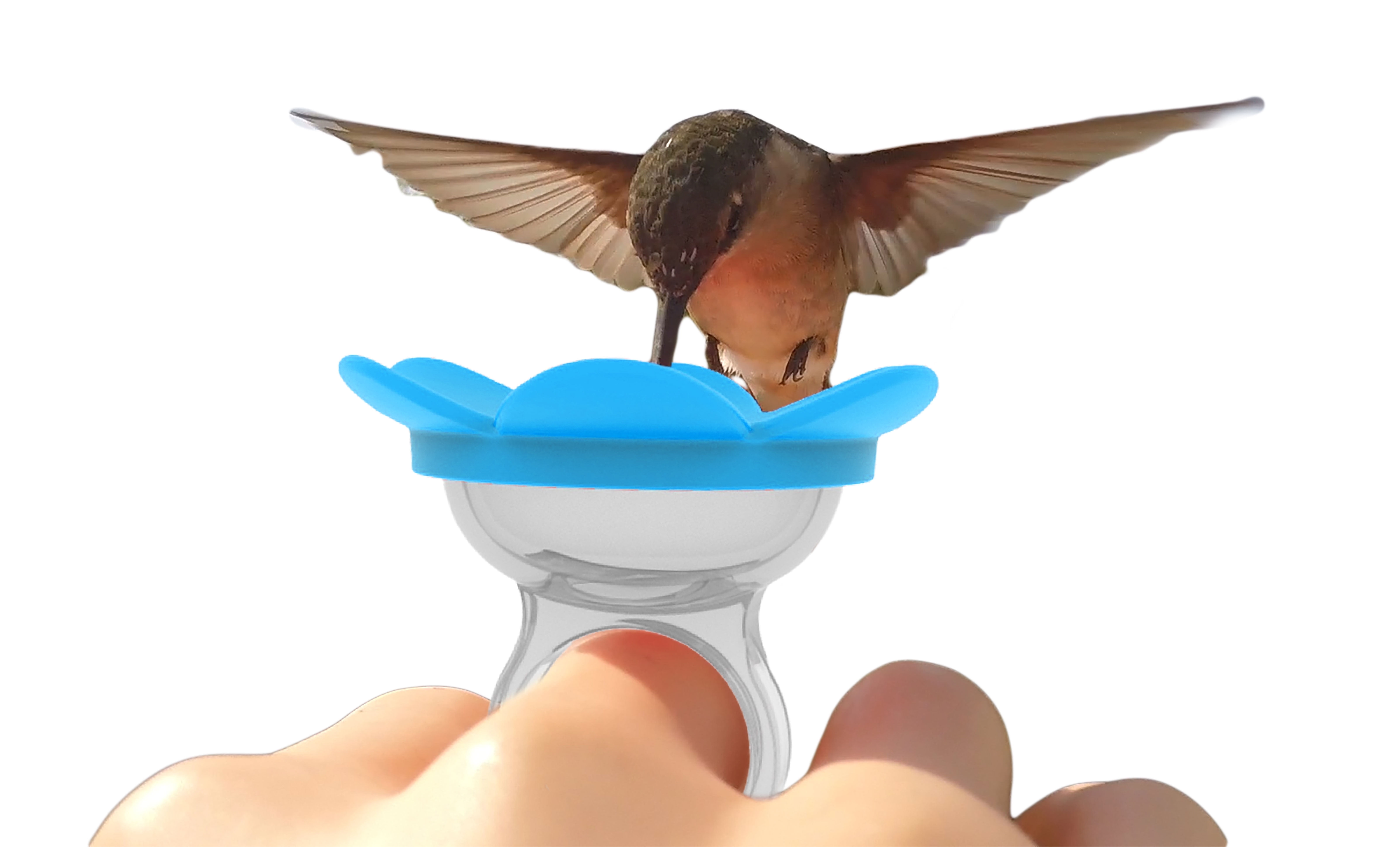 ZUMMR Hummingbird Ring Feeder, Bird Feeder (Blue)