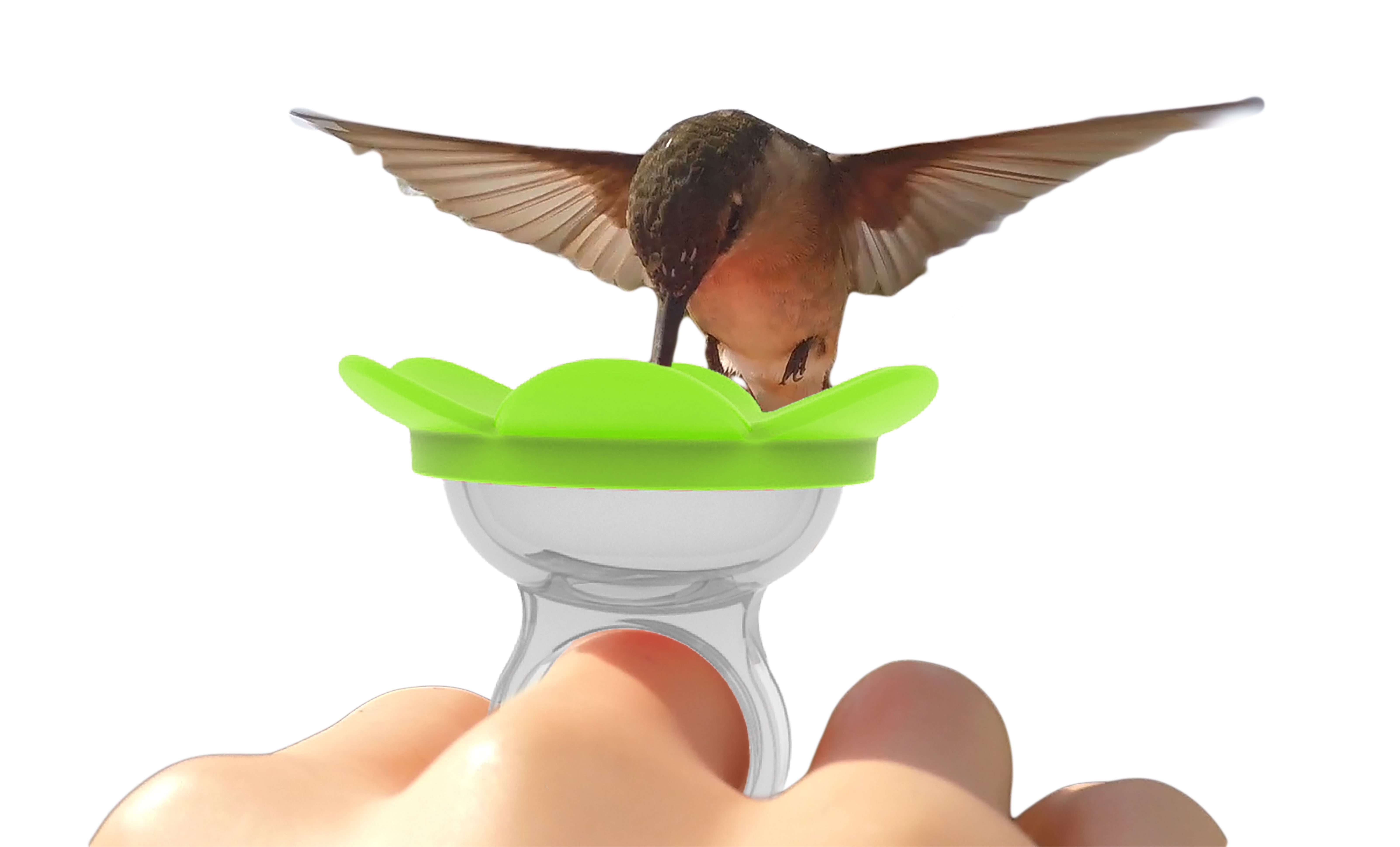 ZUMMR Hummingbird Ring Feeder, Bird Feeder (Blue)