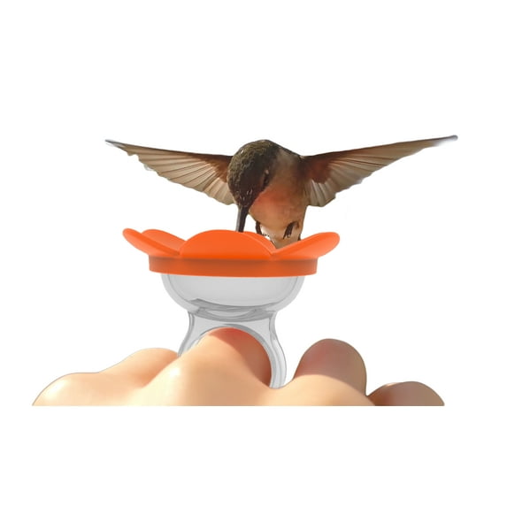 ZUMMR Hummingbird Ring Feeder, Bird Feeder (Orange)