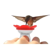 ZUMMR Hummingbird Ring Feeder, Bird Feeder (Red)
