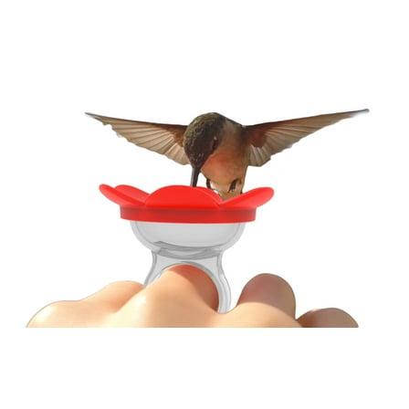 ZUMMR Hummingbird Ring Feeder, Bird Feeder (Red)