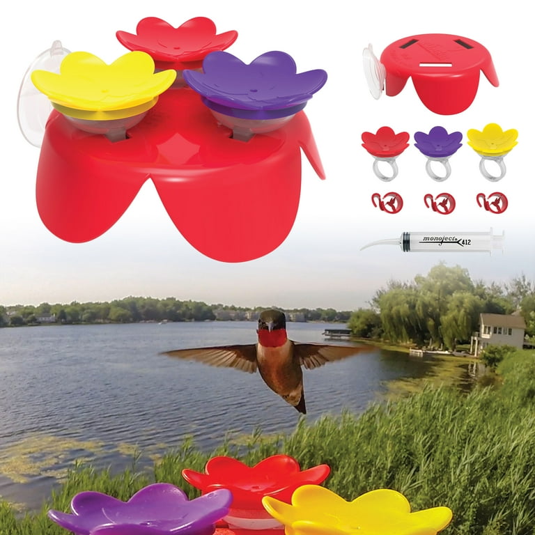Hummingbird on sale ring feeder
