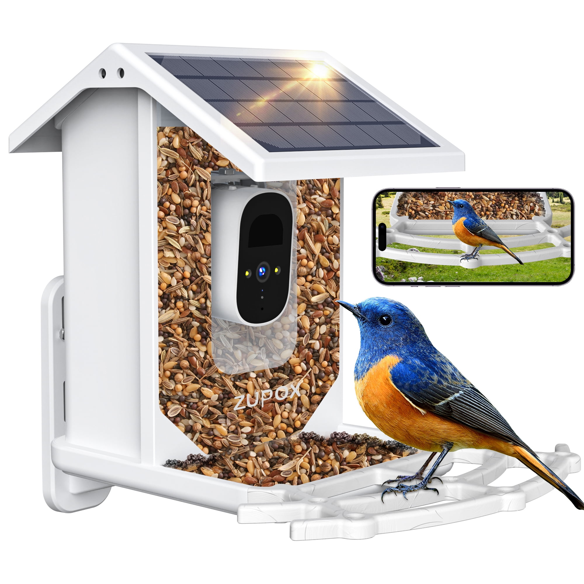 ZUPOX 2L Smart Bird Feeder with Camera, Bird Feeder for Outdoor, 1080P Auto Capture Bird with Solar Panel for Bird Watching Lover