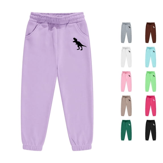 ZXLBBD Boys Sweatpants Dinosaur Print Drawstring Elastic Waist Straight Leg Joggers Sports Workout Pants for Kids Fashion Casual Daily Wear,Light Purple,Size 2 Y-3 Y