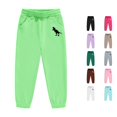 thumbnail image 1 of ZXLBBD Boys' Sweatpants Dinosaur Print Drawstring Elastic Waist Straight Leg Joggers Sports Workout Pants for Kids Versatile Casual Daily Wear,Green,Size 2 Y-3 Y, 1 of 3