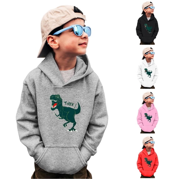 ZXLBBD Sweatshirts for Boys Long Sleeve Crewneck Dinosaur Print Pullover Top for Toddler Kids Versatile School and Daily Wear Casual Durable,Grey,Size 4 Y-5 Y
