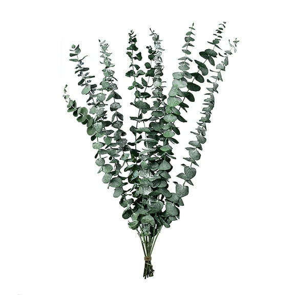 ZXNWN Artificial Flowers for Cemetery Clearance Dried Flower Bouquet Natural Air Dried Branches Light Creative Decorative ornaments Photo Props