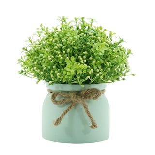 Artificial Plants & Flowers