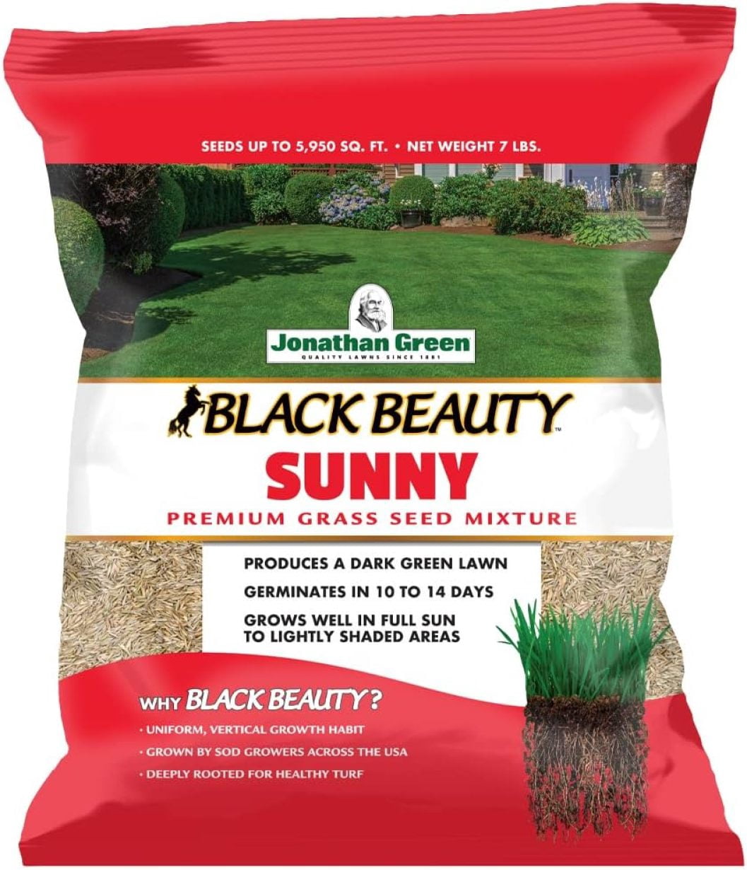 ZXXP (10880) Black Beauty Sunny Grass Seed - Cool Season Lawn Seed (7 lb)