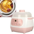 ZY1L Electric Stew Pot, 200W Compact Cooker with Anti Dry Burn, 24H