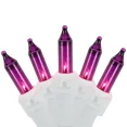 thumbnail image 1 of ZYLER- Northlight Set Of 50 Purple Mini Christmas Lights 2.5" Spacing - White Wire, 1 of 4