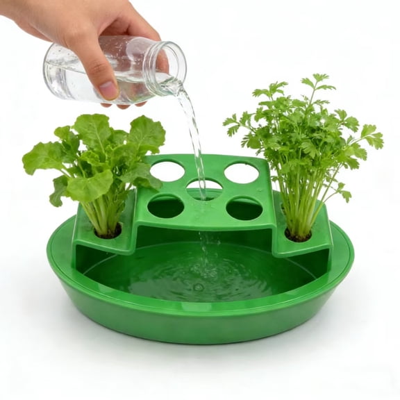 ZYXWVU Hydroponic Planter Indoor Growing Container for Scallions Green Onions Kitchen Windowsill Vegetable Planter Window Growing Box Balcony Planter