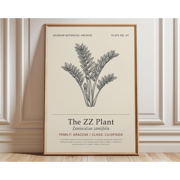 ZZ Plant Botanical Wall Art Print, Unframed Paper Poster 8x10in