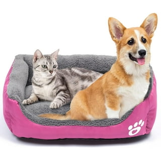 https://i5.walmartimages.com/seo/ZZBBC-Dog-Bed-Large-Dogs-Medium-Dogs-Sofa-Waterproof-Liner-Pad-Removable-Washable-Cover-Mat-Crates-Couch-Puppy-Bed-Pet_8651201c-a51b-4bde-936d-c1ce6863d3d0.4af329b4cb0ce901154dd9557d317321.jpeg?odnHeight=320&odnWidth=320&odnBg=FFFFFF