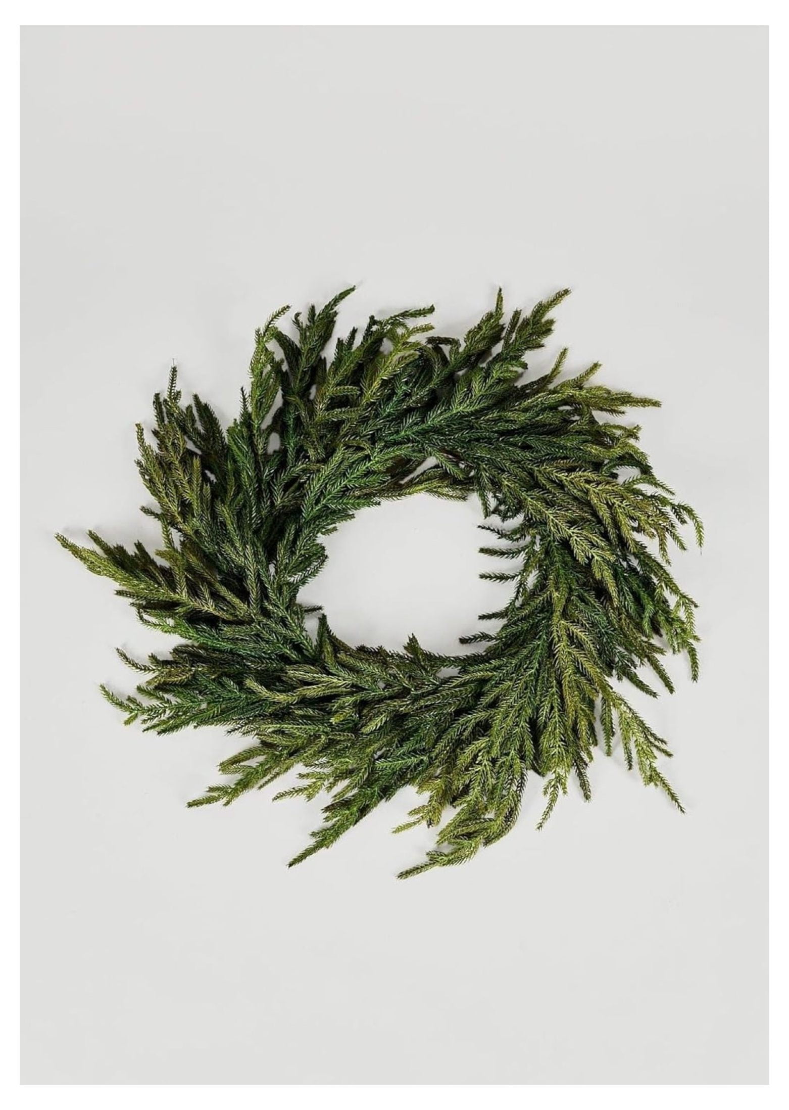 24" Green Artificial Norfolk Pine Christmas Wreath with Grapevine Base