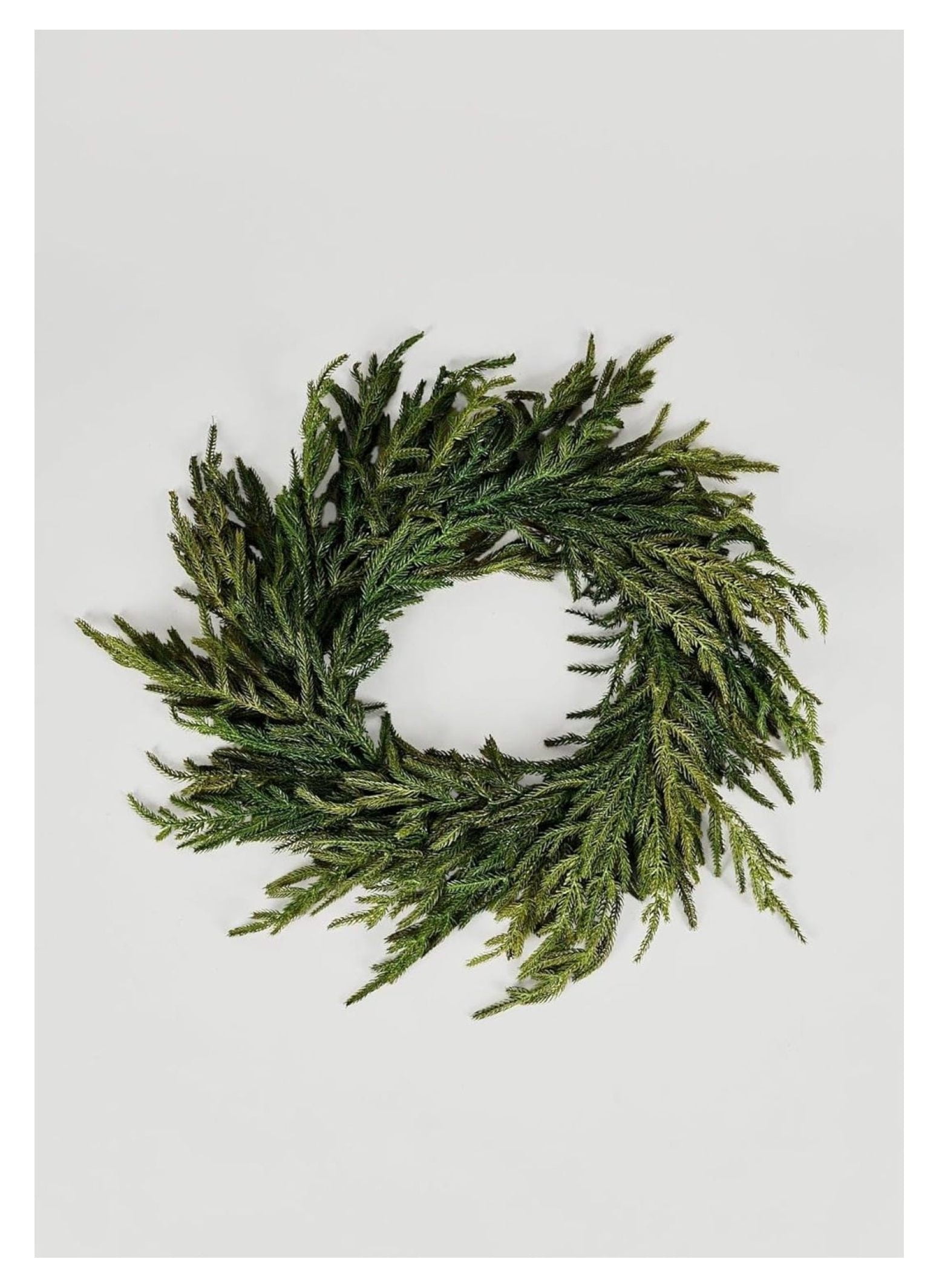 24" Green Artificial Norfolk Pine Christmas Wreath with Grapevine Base