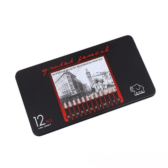 ZZkhGO 12 Pcs Sketch Drawing Pencil Set, Art Pencils in Iron Storage Box, Professional Graphite Tools for Shading Detailing