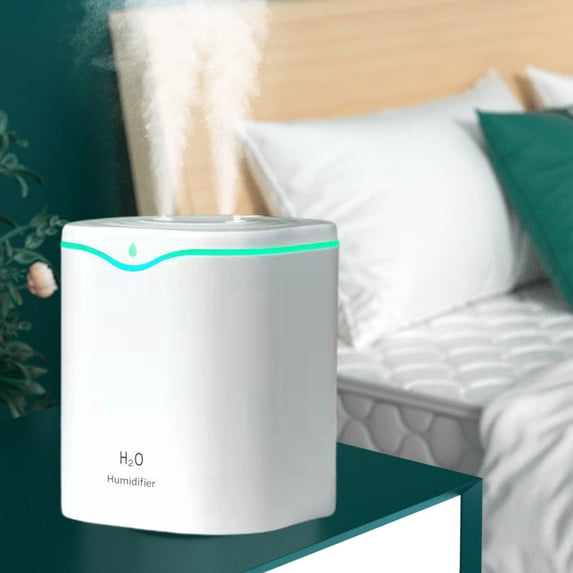 ZZkhGO 2L Cool Warm Mist Humidifier, Bedroom Essential Oil Diffuser with Timer, Quiet Ultrasonic Humidifier for Plants Large Room
