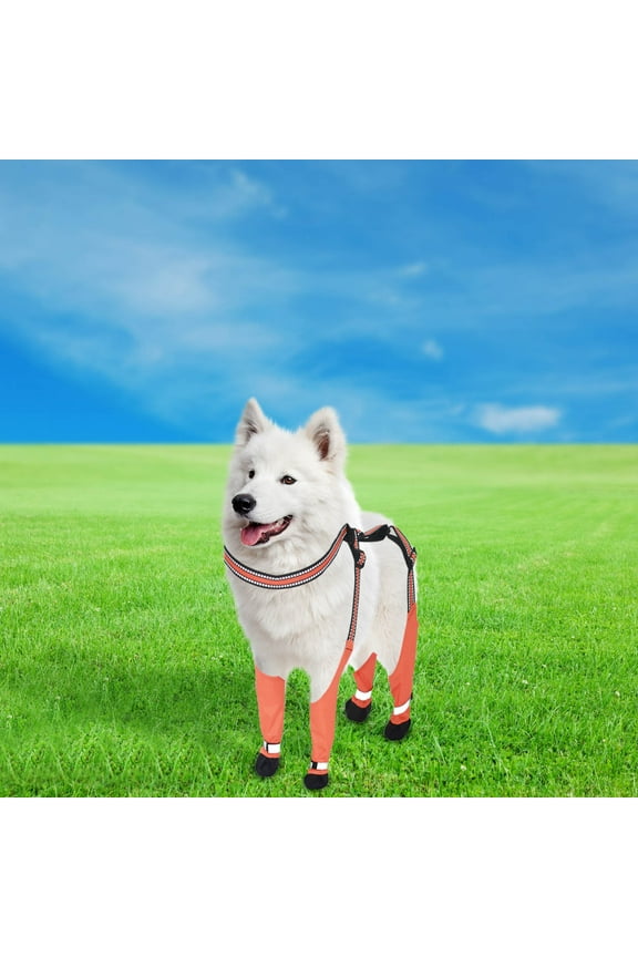 Non Slip Dog Foot Gloves, Dog Shoes for Outdoor Walking, Protective Dog Booties for Dirt Mud Snow