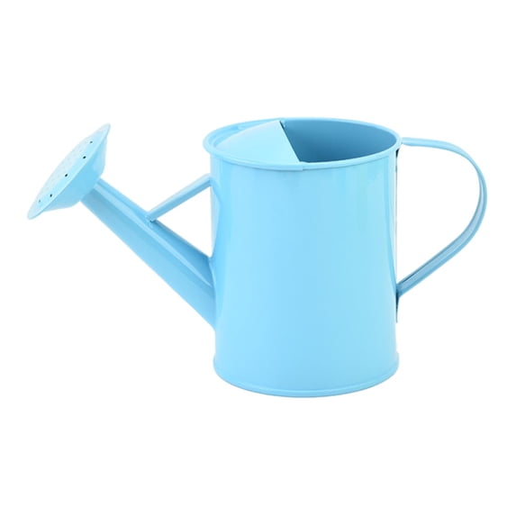 ZZkhGo 600ml Iron Watering Can with Long Spout Garden Watering Kettle Horticultural Planting Tool Two Way