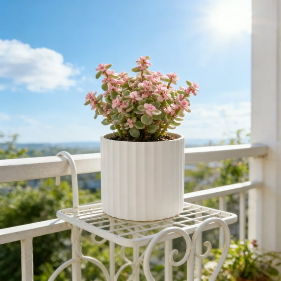 ZZkhGo Plastic Flowerpot Round Thickened Planter Set White Yellow Multiple Sizes 8.5-11 cm Drainage Hole Garden Indoor Outdoor Home Decoration