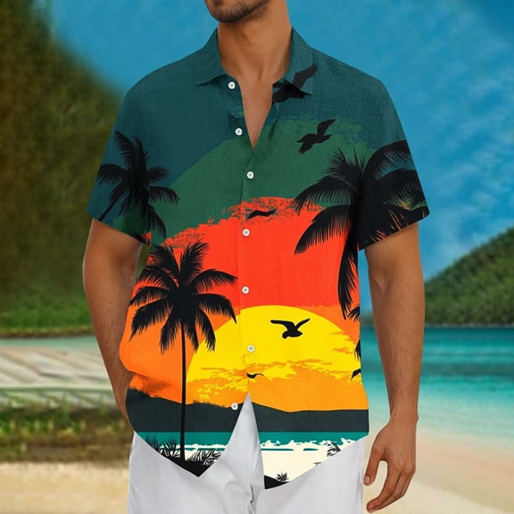 ZZwxWA Funny Hawaiian Shirts for Men, Mens Hawaii Printed Beach Shirts Tropical Short Sleeve Button Tees Front Pockets Online Shopping