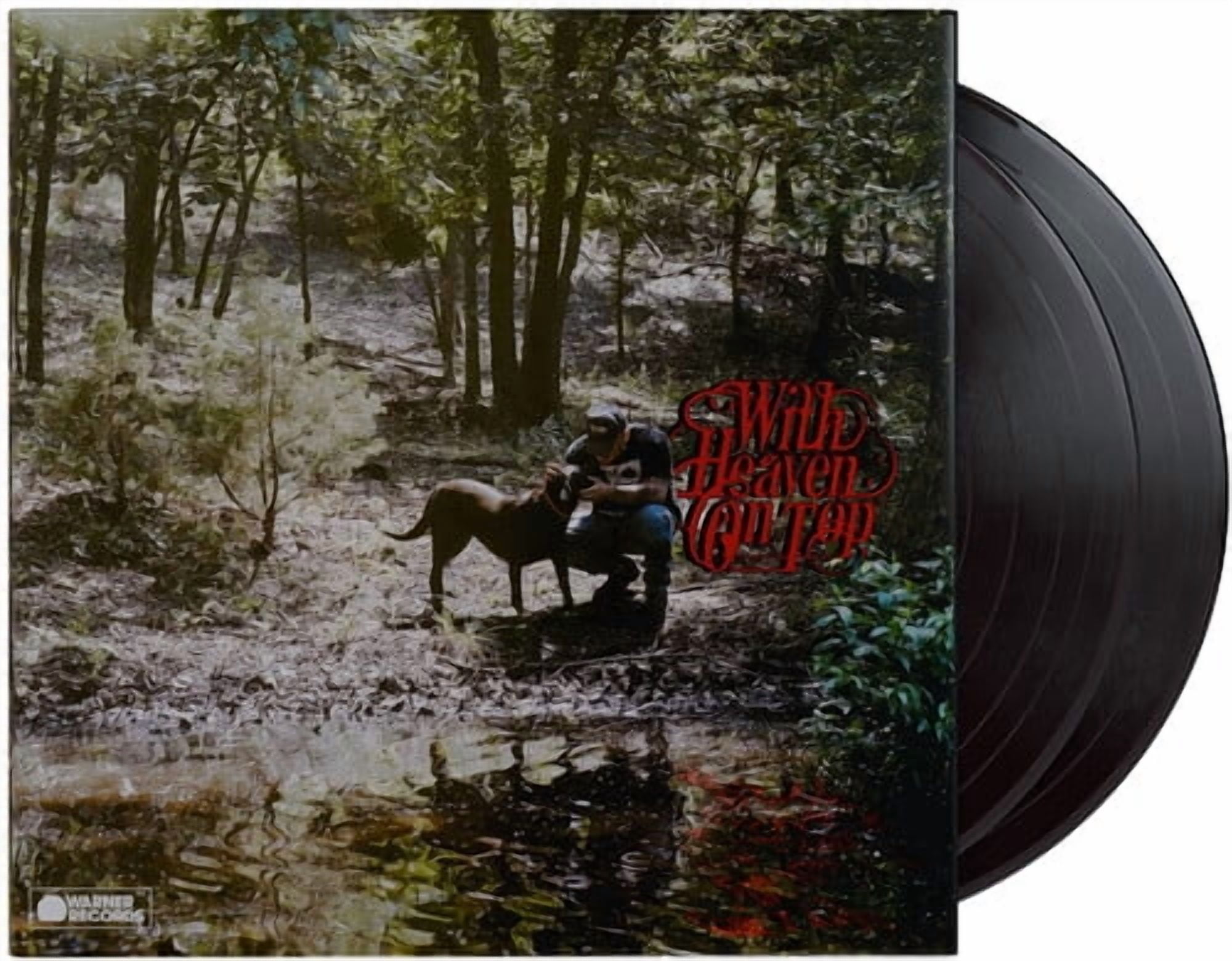 Warner Records, Vinyl, With Heaven On Top, 2 LP, Country Music