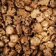 thumbnail image 1 of Zachary Chocolate Caramel Pecan Clusters 3 lb. Bulk Bag, 1 of 1