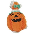 thumbnail image 1 of Zack & Zoey Pumpkin Pooch Costume, 1 of 1