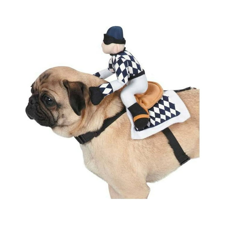Zack & Zoey Show Jockey Saddle Costume, Extra Large, Dimensions