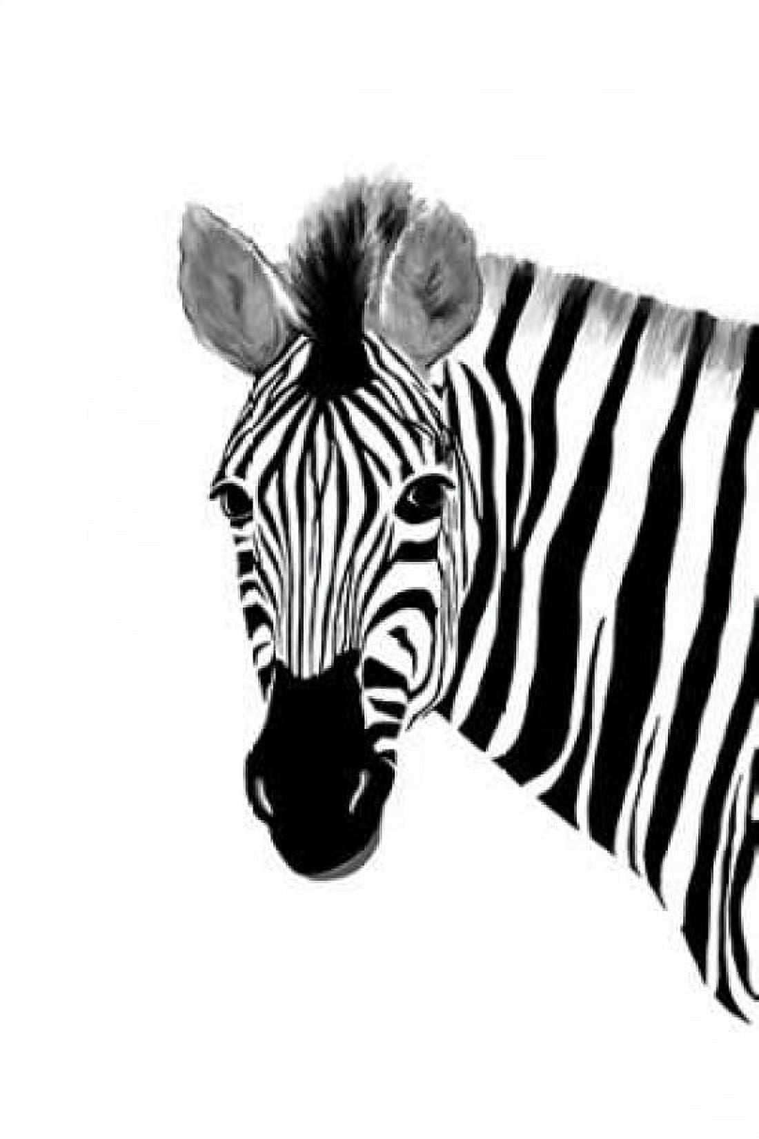 Zack a Zebra Canvas Art - Ramona Murdock (12 x 18)