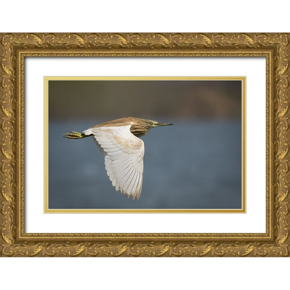 Zaeitar, Ahmed 32x23 Gold Ornate Wood Framed with Double Matting Museum Art Print Titled - Wings
