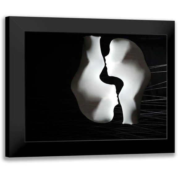Zahirimehr, Maryam 24x19 Black Modern Framed Museum Art Print Titled - Twins