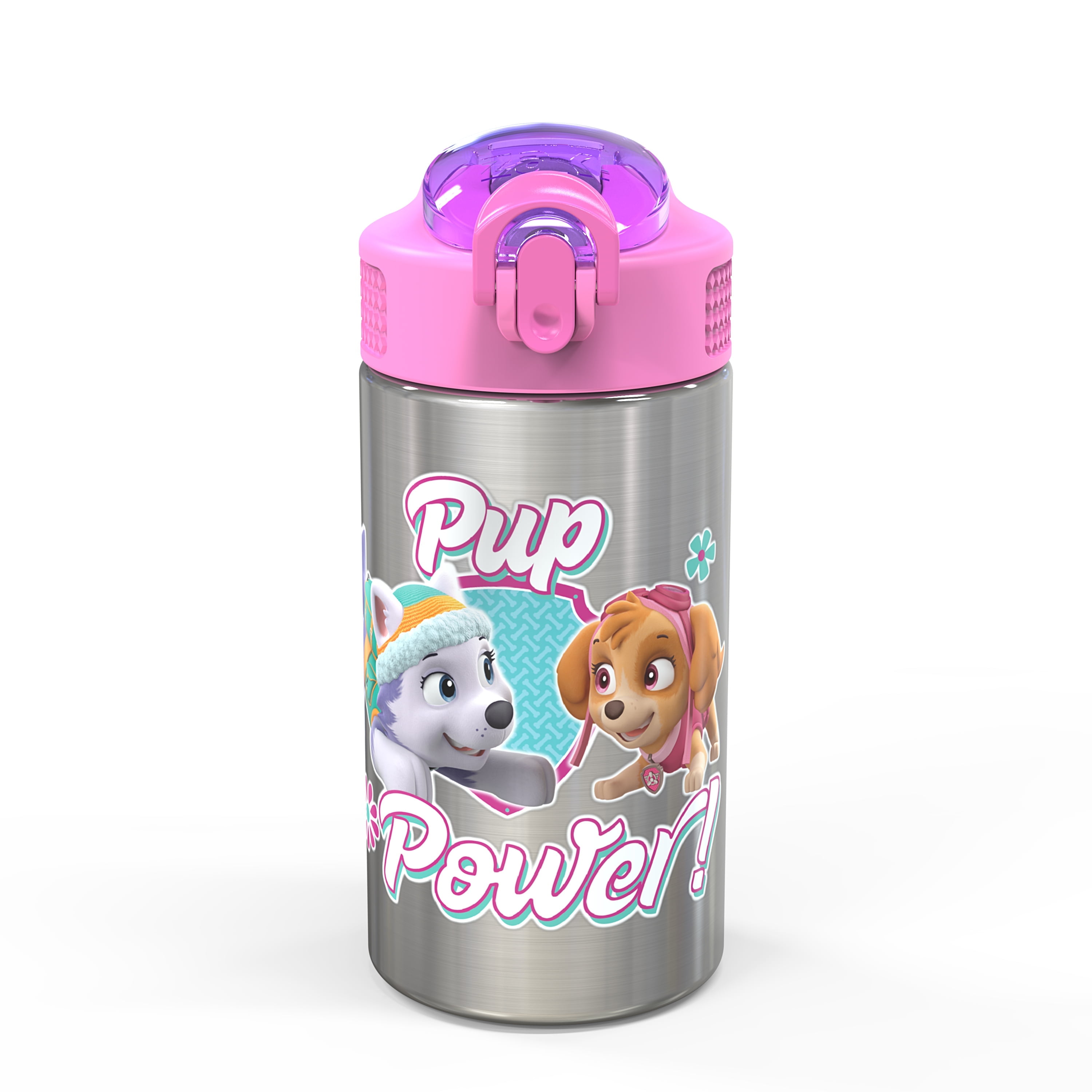 Zak Designs 15.5 oz Kids Water Bottle Stainless Steel with Push-Button and  Locking Cover, Paw Patrol Skye