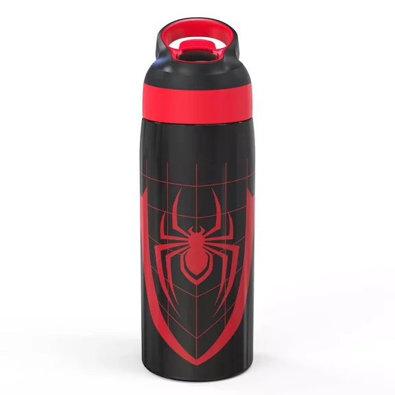Zak Designs 19 fl oz Stainless Steel Vacuum Insulated Riverside Spider-Man Water Bottle: Kids & Boys