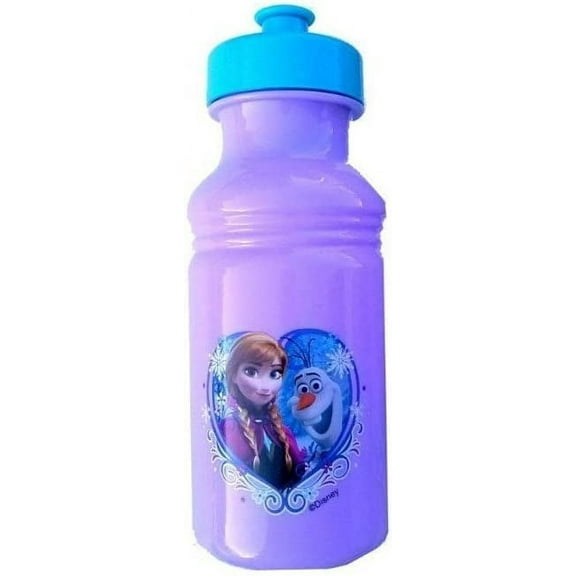 Zak Designs Frozen 17oz Bottle