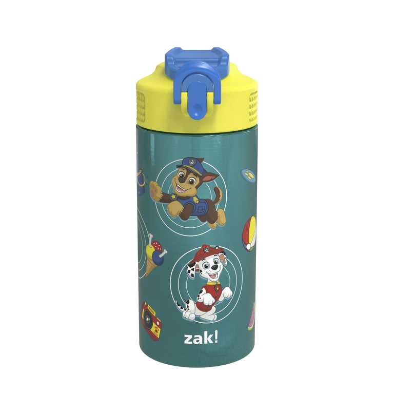 Zak Designs Disney 18/8 Stainless Steel Kids Water Bottle with