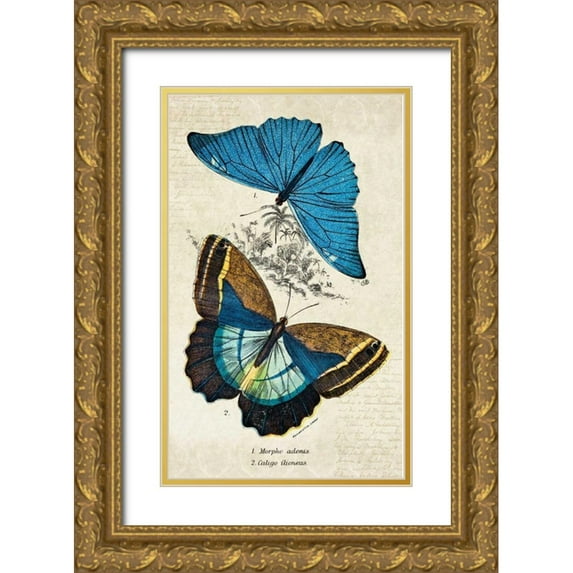 Zalewski, Christine 10x14 Gold Ornate Wood Framed with Double Matting Museum Art Print Titled - Kirby Butterflies II