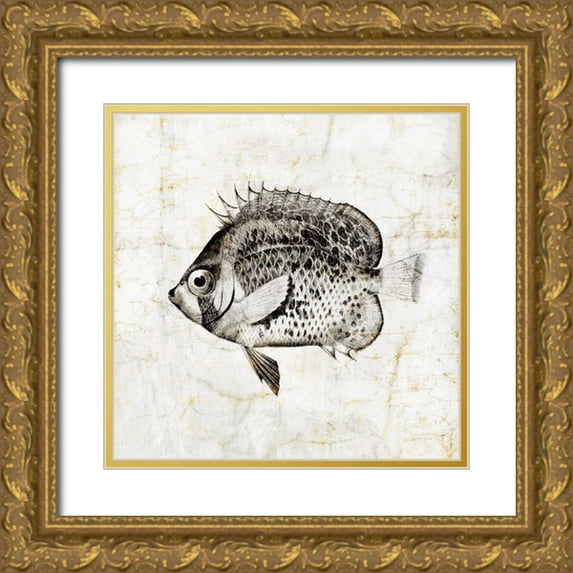 Zalewski, Christine 12x12 Gold Ornate Wood Framed with Double Matting Museum Art Print Titled - Vintage Fish IV