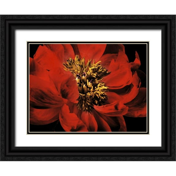 Zalewski, Christine 24x19 Black Ornate Wood Framed with Double Matting Museum Art Print Titled - Red Peony II