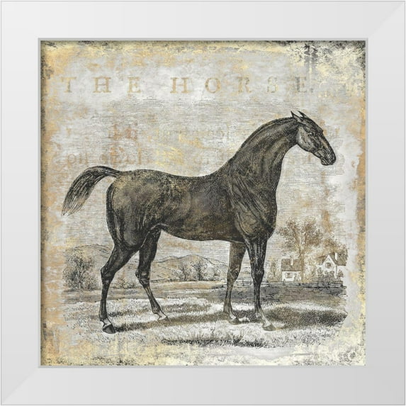 Zalewski, Christine 26x26 White Modern Wood Framed Museum Art Print Titled - Gold Stallion II