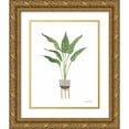 thumbnail image 1 of Zaman, Farida 12x14 Gold Ornate Wood Framed with Double Matting Museum Art Print Titled - Green House Plants III, 1 of 4