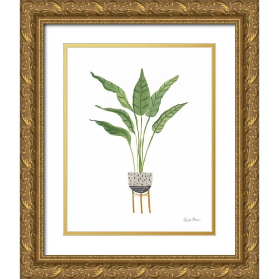 Zaman, Farida 12x14 Gold Ornate Wood Framed with Double Matting Museum Art Print Titled - Green House Plants III