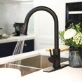 thumbnail image 1 of Zamery Black Kitchen Faucet Pull Down Sprayer Single Handle Sink Mixer Mono Tap with Cover, 1 of 9