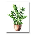 thumbnail image 1 of Zamioculcas Tropical Plant With Green Leaves On White 24 in x 32 in Painting Canvas Art Print, by Designart, 1 of 4